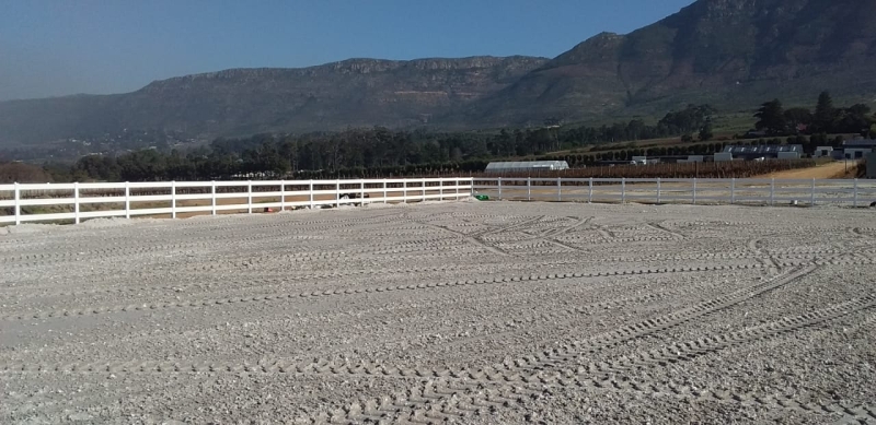 overall view of the budget diy pvc equestrian 3 rail corner post in a paddock setting illustrating its reliable and attractive appearance